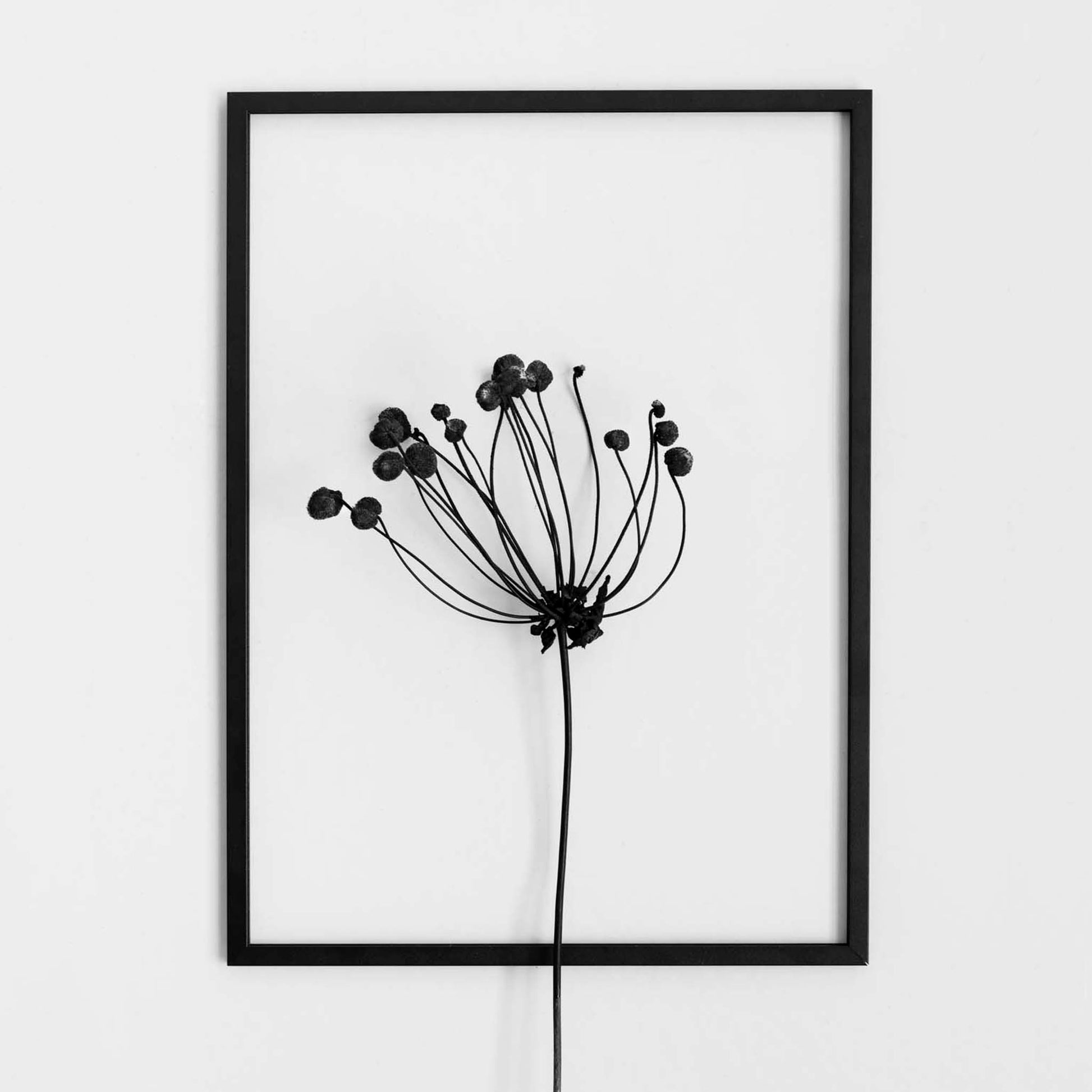 Moebe-Transparante wissellijst - A5-Wissellijst-Liever Duurzaam