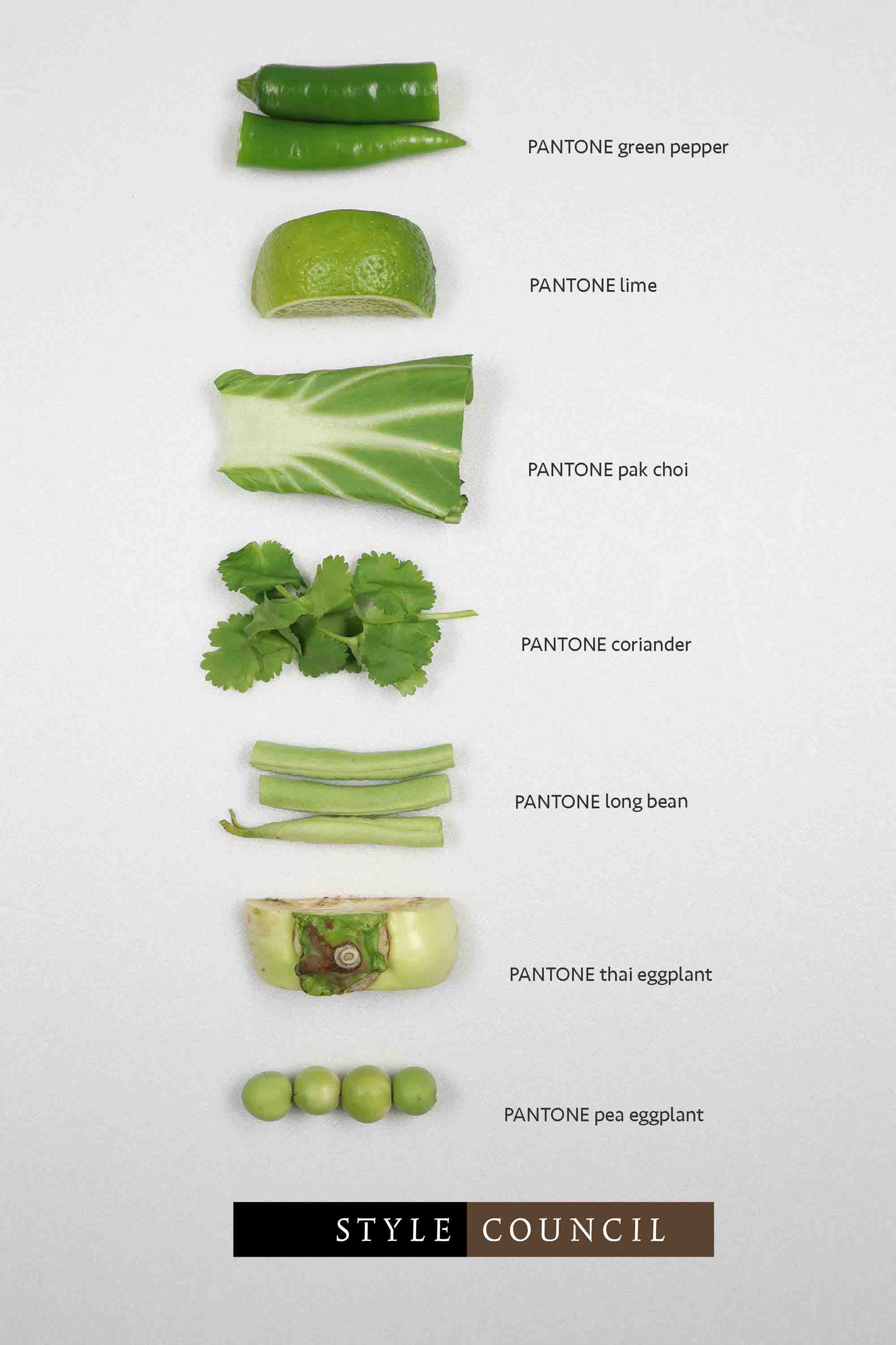 RH-Collective | Diensten | Food styling voor In-Soest | Pantone food-kleurkaart