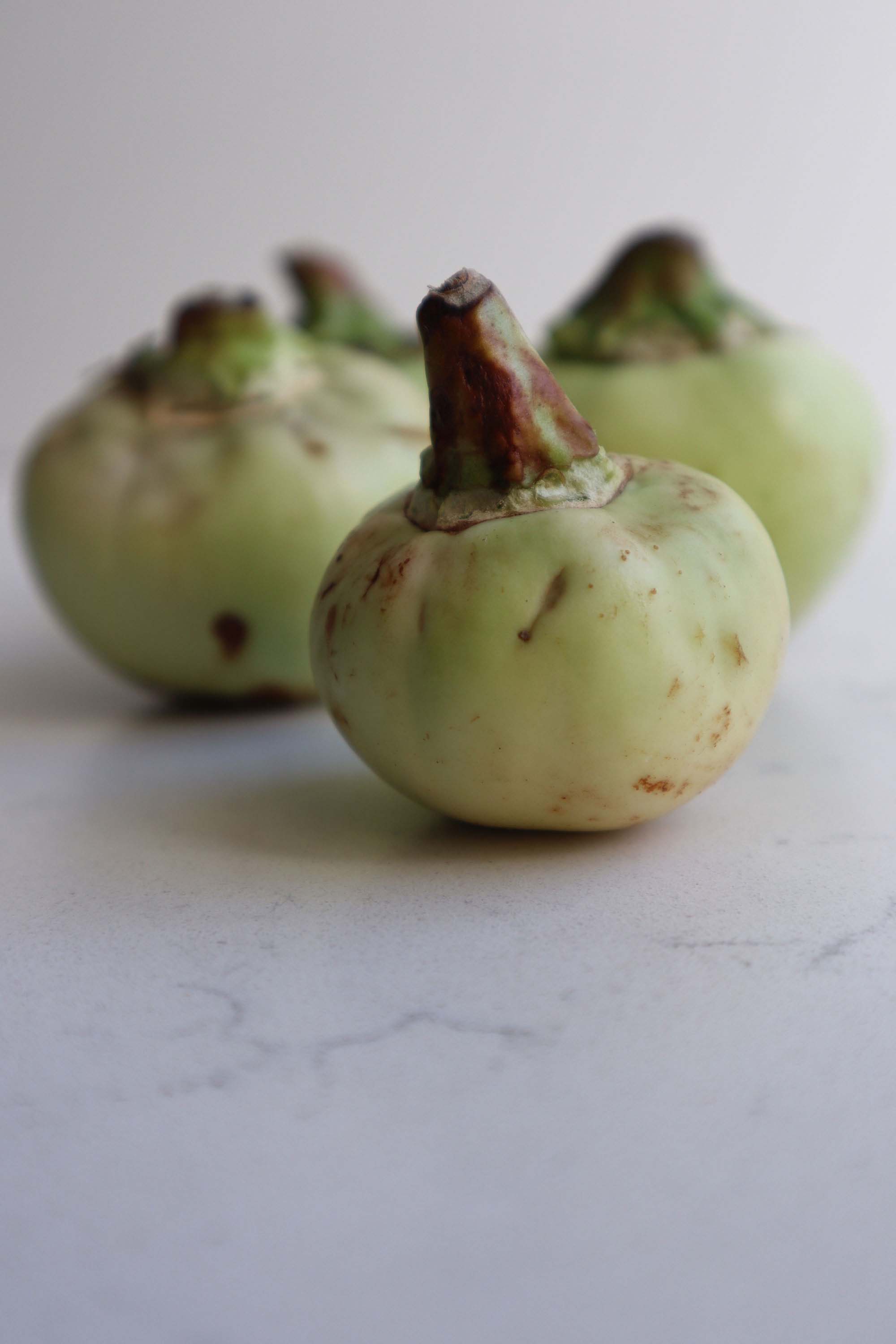 RH-Collective | Diensten | Food styling voor In-Soest | Thaise aubergines