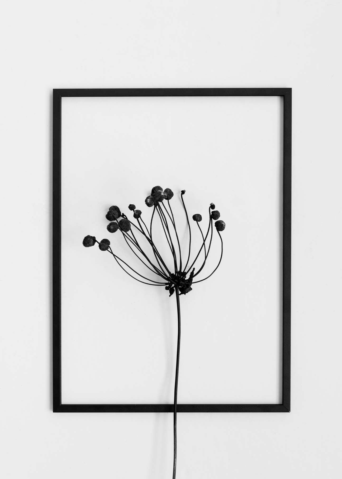 Moebe-Transparante wissellijst - 50 x 70 cm-Wissellijst-Liever Duurzaam